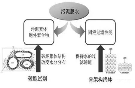 污泥破胞復(fù)合調(diào)理技術(shù)原理